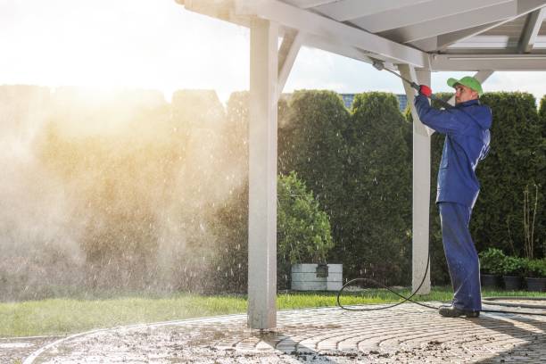Best Driveway Pressure Washing  in Berino, NM